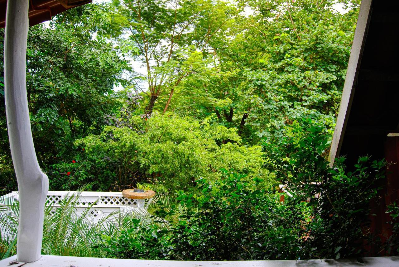 Hacienda Sarah Villa Nosara Exterior photo